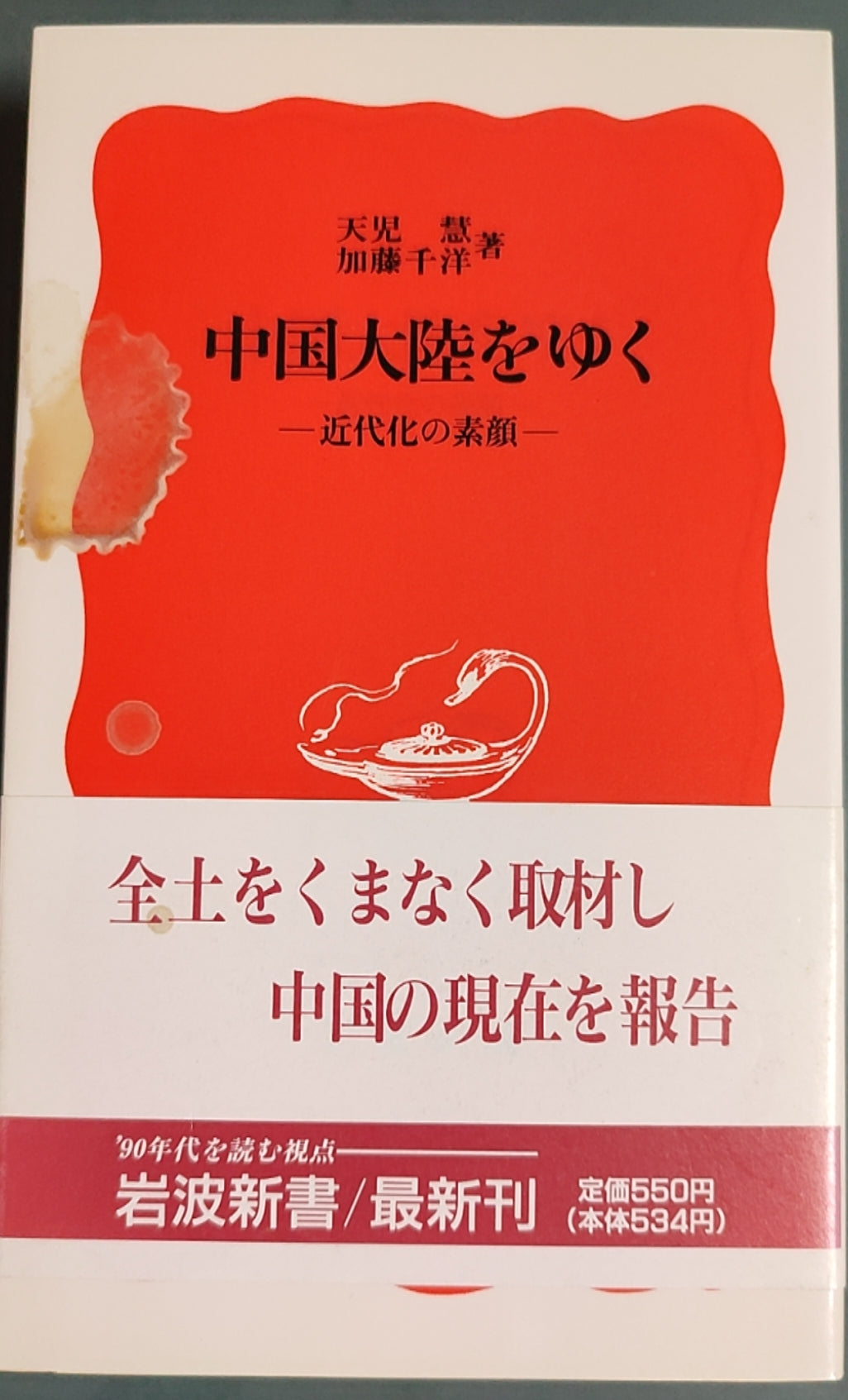 中国大陆をゆく——近代化の素顔