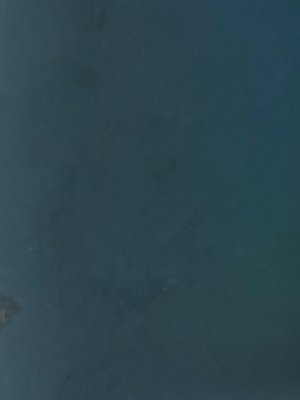 俺たちの行進曲