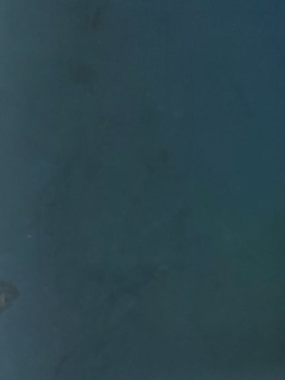 俺たちの行進曲