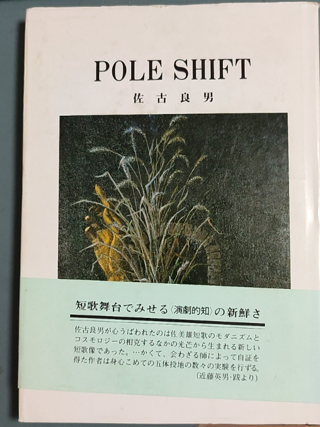 POLE SHIFT