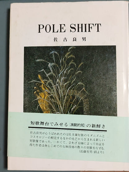 POLE SHIFT