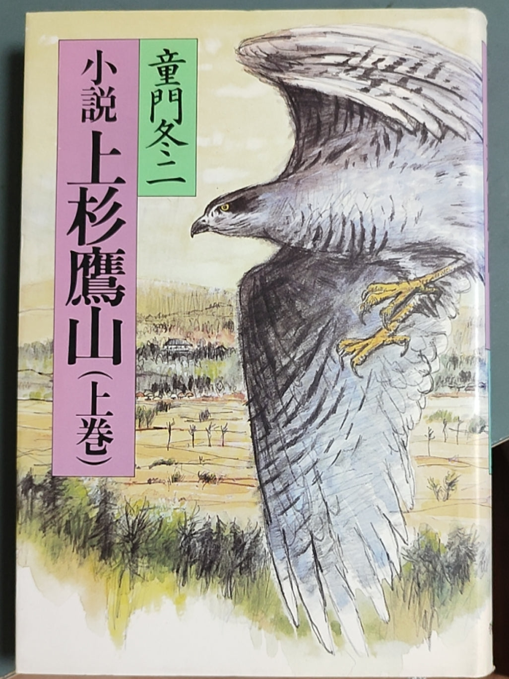 小说上杉鹰山（上卷）