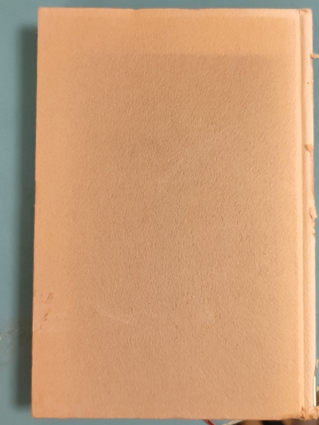 秘められた挽歌——柿本人麻呂と高市皇子